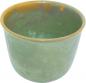 Preview: Pot 19 Mint