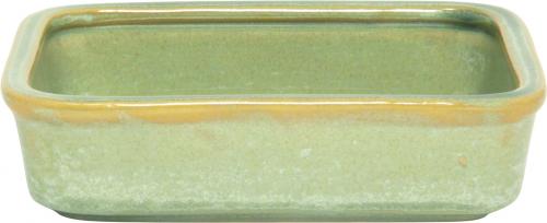 Fischbüchse 12,5 x 10 Mint