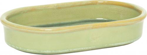 Fish Rifle Oval Mint