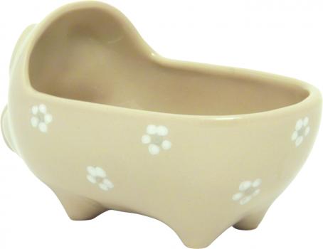 Hackepeterschwein Gänseblümchen
