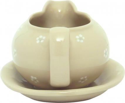 Sauciere Gänseblümchen
