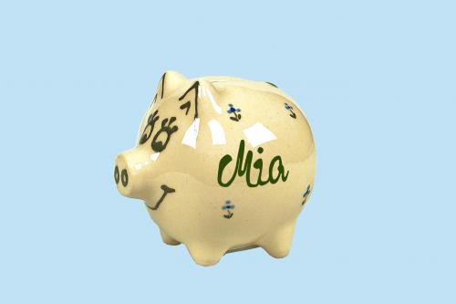 Sparschwein klein mit Schrift (1 Zeile) Streublume