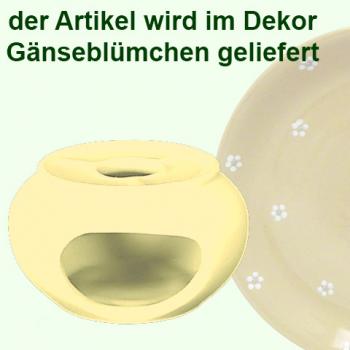 Warmer small Gänseblümchen