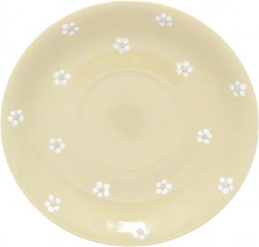 Saucer Cup Gänseblümchen