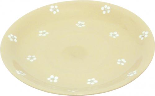 Saucer Cup Gänseblümchen