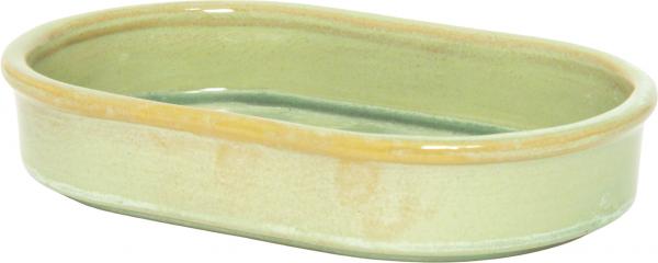 Fish Rifle Oval Mint