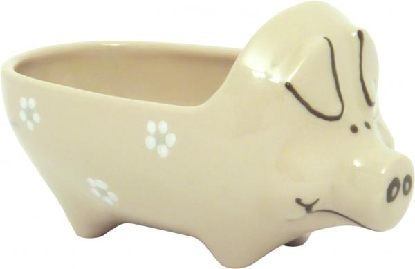 Hackepeterschwein Gänseblümchen