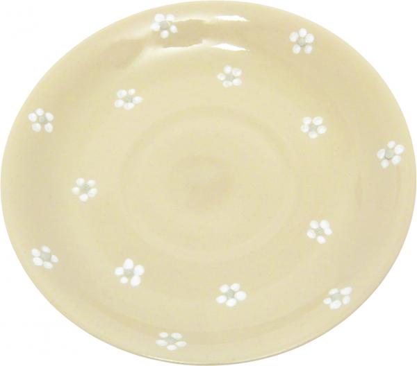 Saucer Cup Gänseblümchen