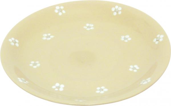 Saucer Cup Gänseblümchen