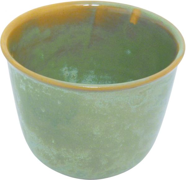 Pot 14 Mint