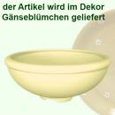 Obstwäscher Gänseblümchen