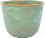 Pot 14 Mint