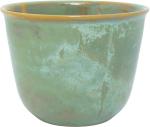 Pot 19 Mint